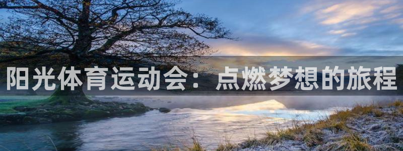 MK体育官方正版app官方：阳光体育运动会：点燃梦想的旅程