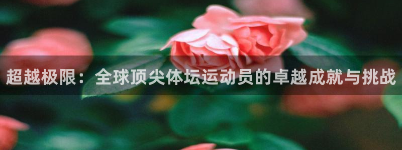 MK体育官网下载招商电话：超越极限：全球顶尖体坛运动