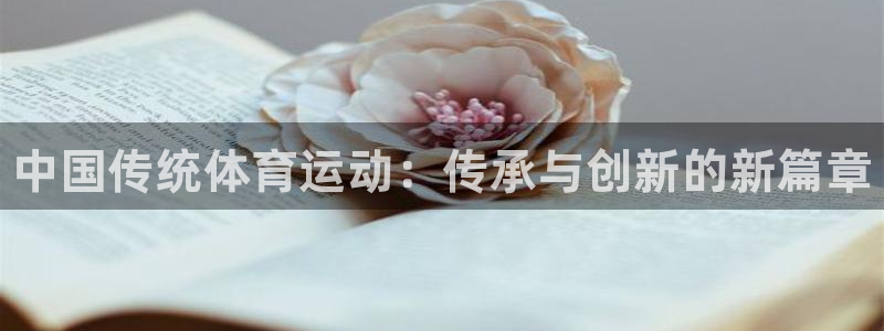 MK体育官方正版app五金厂：中国传统体育运动：传承