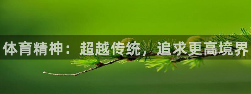 MK体育官方正版app官网：体育精神：超越传统，追求