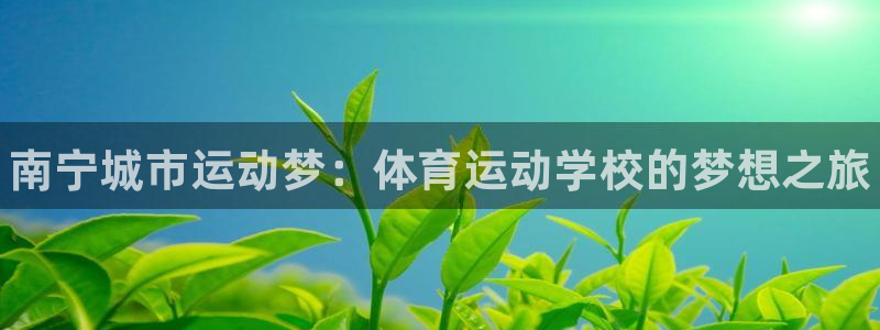MK体育官方正版app娱乐是那个系列的台子：南宁城市运动梦：