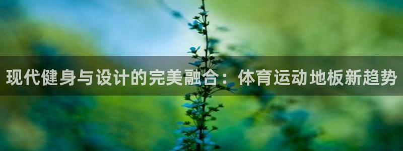 MK体育官方正版app娱乐首页网站大全：现代健身与设计的完美