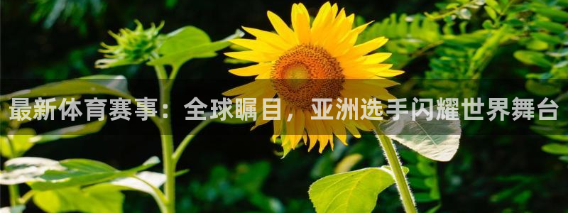 MK体育官网下载招商电话号码是多少：最新体育赛事：全