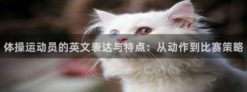 MK体育官网下载招商电话号码：体操运动员的英文表达与特点：从