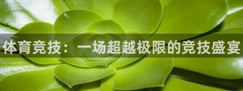 MK体育官网下载平台假的吗是真的吗：体育竞技：一场超越极限的