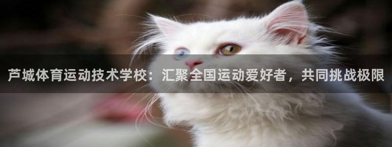 MK体育官方正版app娱乐网站：芦城体育运动技术学校：汇聚全