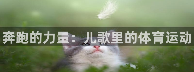 MK体育官网下载：奔跑的力量：儿歌里的体育运动