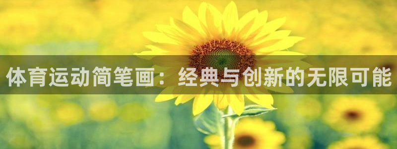MK体育官方正版app娱乐下载：体育运动简笔画：经典