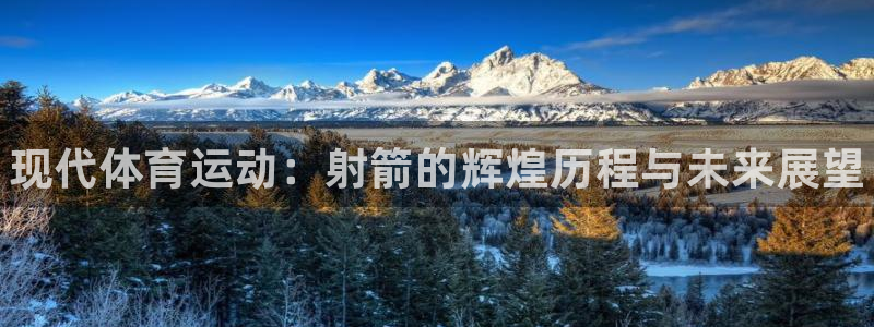MK体育官方正版app集团E.ON：现代体育运动：射