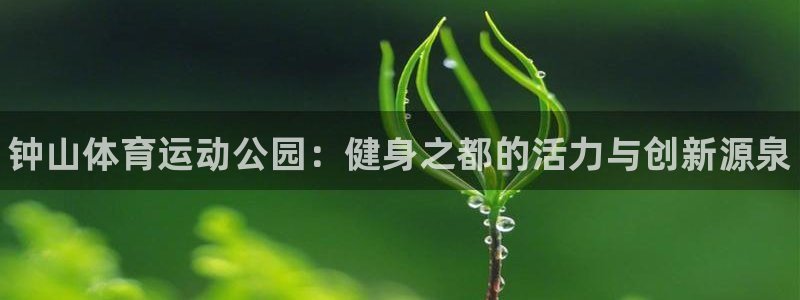 MK体育官网下载招商电话是多少：钟山体育运动公园：健身之都的