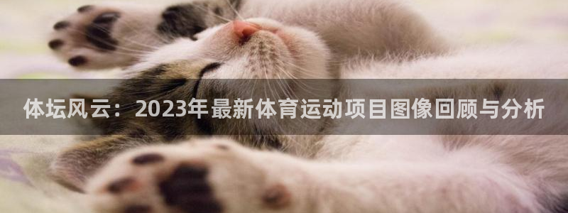 MK体育官方集团官网：体坛风云：2023年最新体育运动项目图