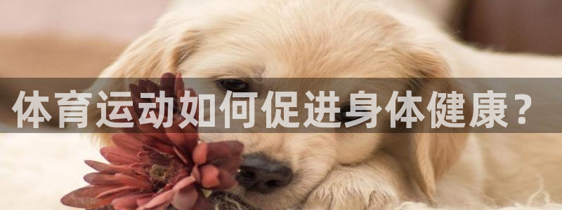 MK体育官网下载招商电话：体育运动如何促进身体健康？