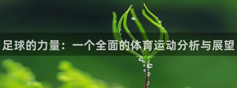 MK体育官网下载平台注册要钱吗：足球的力量：一个全面