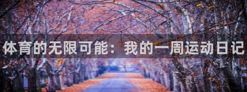 MK体育官方正版app神州：体育的无限可能：我的一周