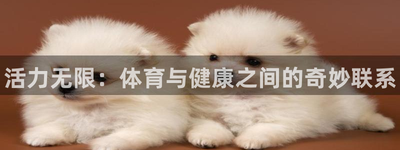MK体育官网下载招商电话是多少号码：活力无限：体育与健康之间