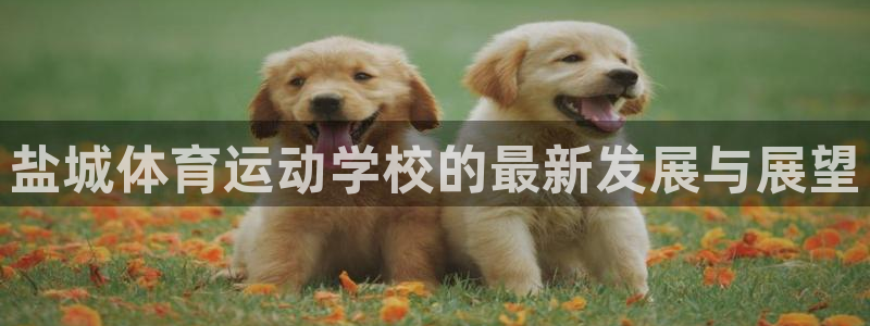 MK体育官方正版app新能源：盐城体育运动学校的最新发展与展