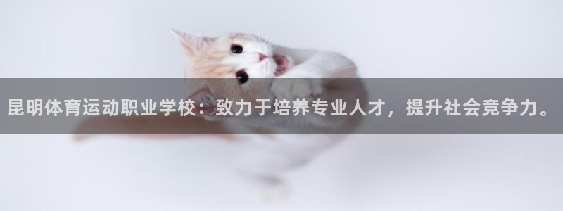 MK体育官方正版app集团官网网址