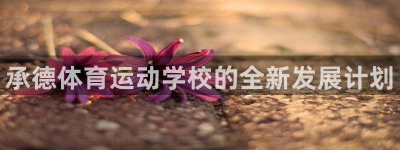 MK体育官网下载开户