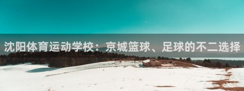 MK体育官网下载官方客服电话