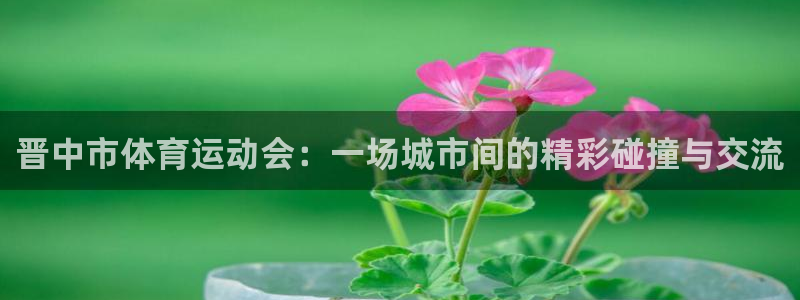 MK体育官方正版app集团官网首页网址：晋中市体育运动会：一