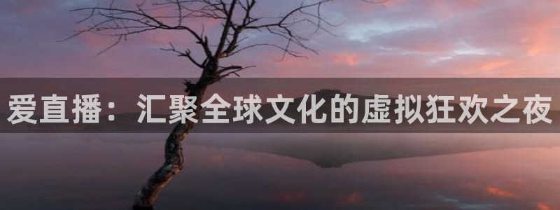 松鼠直播：爱直播：汇聚全球文化的虚拟狂欢之夜