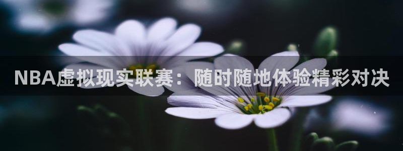 松鼠体育：NBA虚拟现实联赛：随时随地体验精彩对决