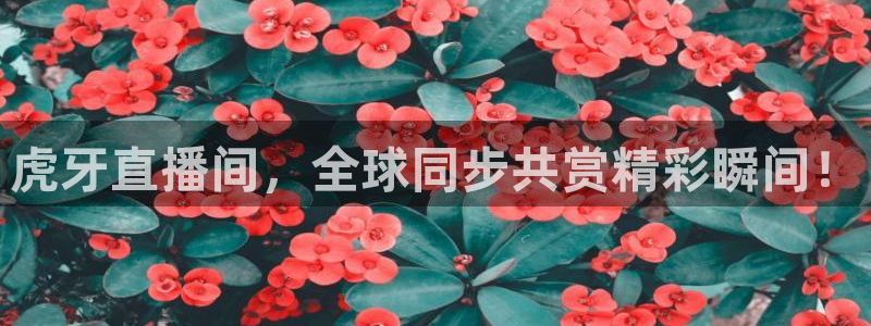 松鼠体育：虎牙直播间，全球同步共赏精彩瞬间！