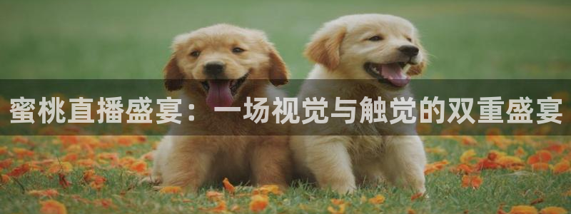 松鼠体育在线直播下载：蜜桃直播盛宴：一场视觉与触觉的双重盛宴