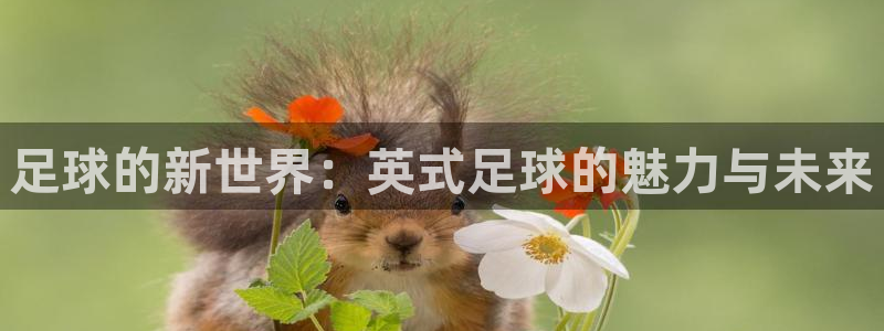 MK体育官网下载娱乐：足球的新世界：英式足球的魅力与未来