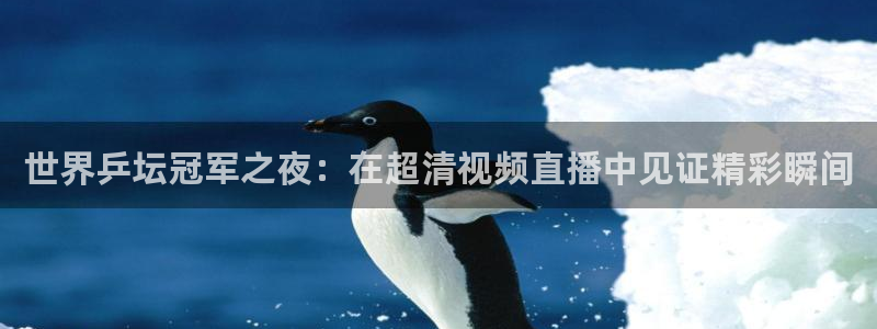 松鼠宝贝体育：世界乒坛冠军之夜：在超清视频直播中见证精彩瞬间