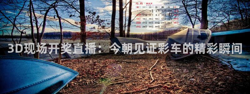 下载松鼠电视直播：3D现场开奖直播：今朝见证彩车的精彩瞬间