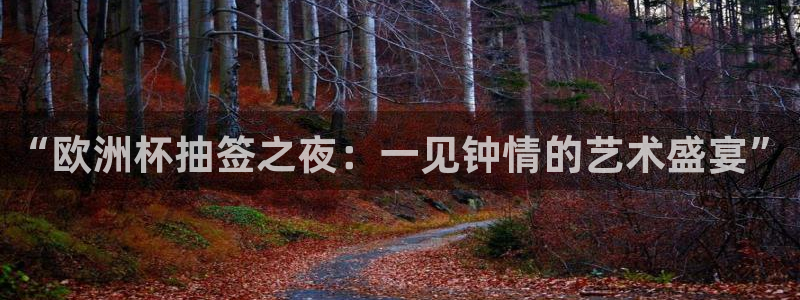 松鼠直播体育免费：“欧洲杯抽签之夜：一见钟情的艺术盛宴”