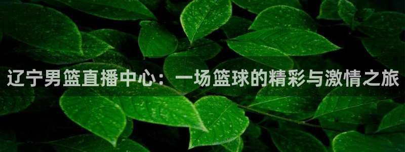 松鼠官方网站：辽宁男篮直播中心：一场篮球的精彩与激情之旅