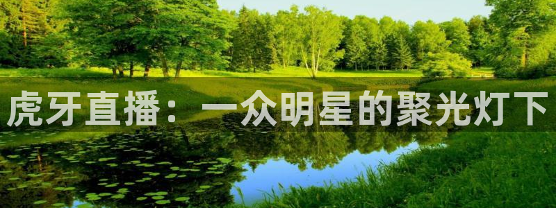 松鼠直播体育免费：虎牙直播：一众明星的聚光灯下
