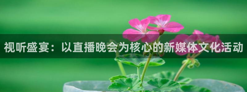 松鼠体育在线直播：视听盛宴：以直播晚会为核心的新媒体文化活动