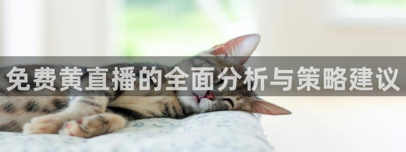 松鼠宝贝体育：免费黄直播的全面分析与策略建议