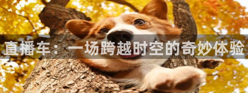 松鼠体育在线直播视频：直播车：一场跨越时空的奇妙体验